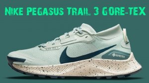 Nike Pegasus Trail 3 GORE-TEX "Seafoam"