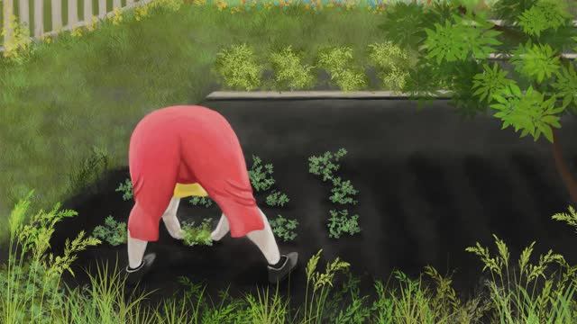 © Дача. 03.08.2024 смотреть онлайн