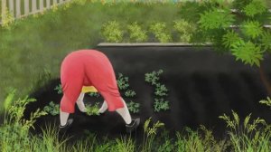 © Дача. 03.08.2024