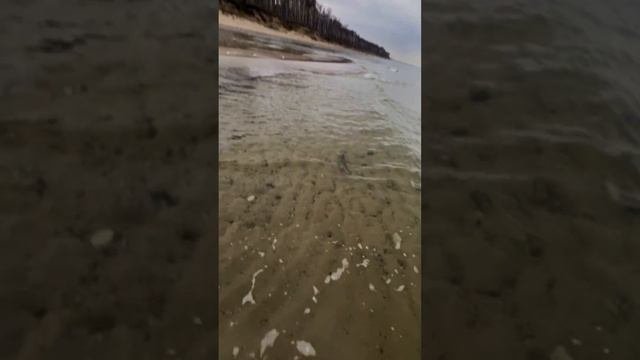 Лучше один раз увидеть... Norstrean Fenrir 902MH и балтийский лосось #shorts #norstream #salmon