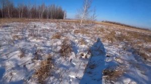 охота на зайца сезон 2024 2025 №2