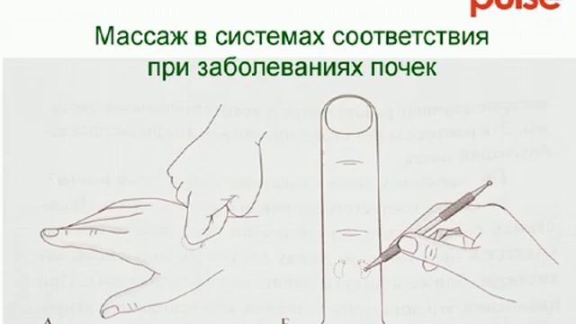 эндокринология лечение разных органов борьба с ожирением закрытие рта, отбитые охоты второй ролик(2