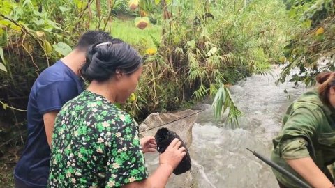 Unstable meal between the police officer and his mother