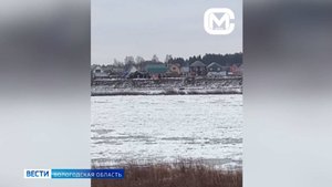 Ледоход начался в деревне Великоустюгского округа