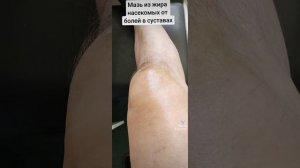 БГВ 230 Мазь Бобрышева ( от болей в суставах)