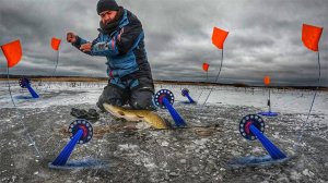 ПЕРВЫЙ ЛЁД 2022 - 2023 | ЩУКА СОШЛА С УМА! ВЕСЬ ЛЁД ГОРИТ ОТ ФЛАЖКОВ! ЗИМНЯЯ ЛОВЛЯ ЩУКИ НА ЖЕРЛИЦЫ