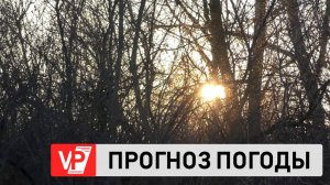 БЕССНЕЖНАЯ ЗИМА ПРИШЛА В ВОЛГОГРАД