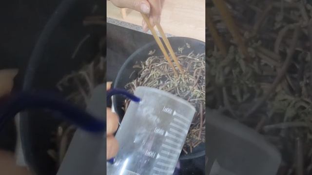 Как в Корее готовят салат из папоротника #жизньвюжнойкорее #жизньвдеревне #рецепты #папоротник