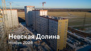 «Невская Долина» / Ноябрь 2024