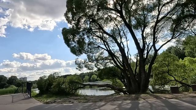 Спеша порадовать любовницу подарком из ювелирки, муж для отвода глаз купил жене куклу у гадалки…