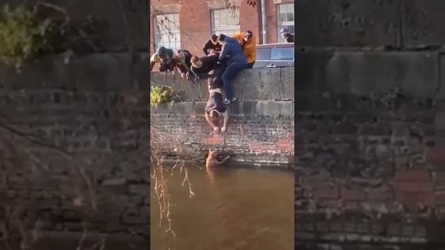 ДО СЛЕЗ 1000035879.mp4
