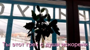 Свет - Мой Друг 2