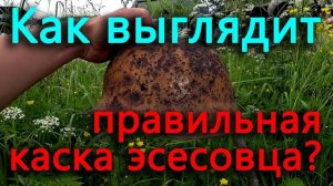 Родители наводят порядки. Что же наделал тесть у коз. Именно так должна выглядеть каска SSовца.