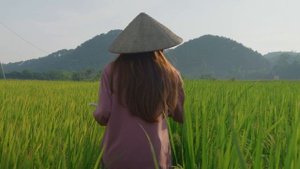 12082084_1920_1080_24fps