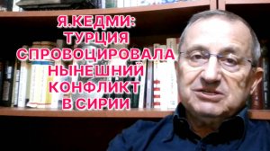 Я.КЕДМИ: Турция в Сирии ставит себя в немыслимое положение - и против России, и против США