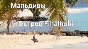 Мальдивы в ноябре. 34 серия. Завтрак. Обзор отеля Fihalhohi. Пирс и медитирующая цапля.