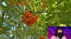 - Мы её оставим без копейки - усмехались муж с любовницей, но на суде их ждал сюрприз...