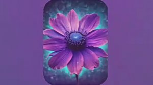 "Свободная душа".Ирина Ким.8 версия песни,03-12-2024