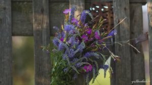 Мой календарь