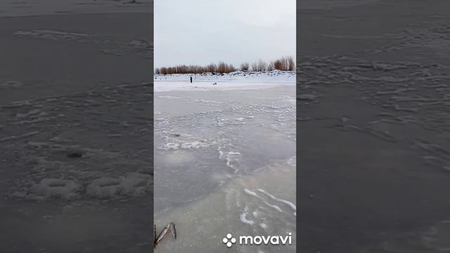 скоро на всех водоёмах