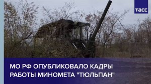 МО РФ опубликовало кадры работы миномета "Тюльпан"