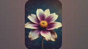 *"Свободная душа" ,Ирина Ким. 17 версия песни.03-12-2024