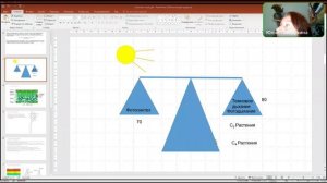 Свет в жизни растения