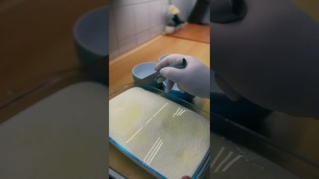 طريقة عمل هيطلية حلبية على الطريقة الحلبية اقتصادية سهلة وبنكهات جديدة الذ من اللذاذة