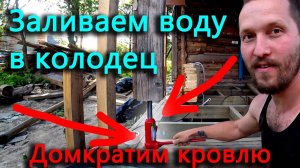 Приехал маньяк! Устроил стрельбу на участке! Петухи у нас не приживаются!