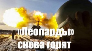 Бандеровцы снова бросили в бой «Леопарды». «Мы их ловим и жжём»