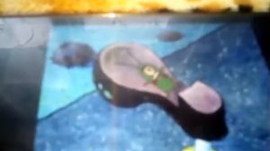 Губка боб встреча с планктоном