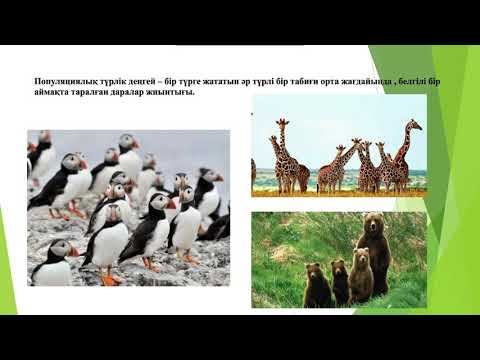 Жаратылыстану. 5-сынып. Тірі ағзалардың ұйымдасу деңгейі