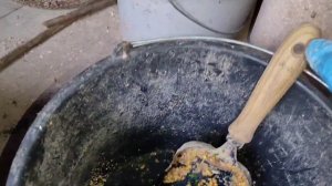 ЧЕСНОК Курам////ТОПИНАМБУР для КУР ,чем он полезен🤔