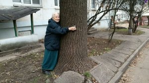 В старину врачей не было. Болезни перекладывали на дерево. Как