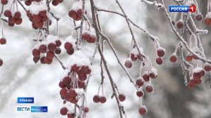 Каким будет декабрь? Прогноз синоптиков