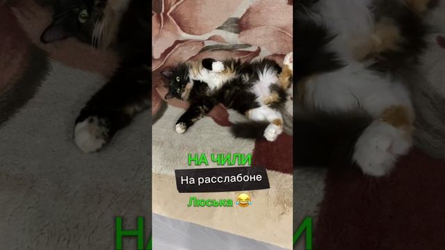 На Чили