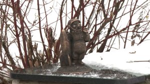 В Ярославле установили еще одного медведика