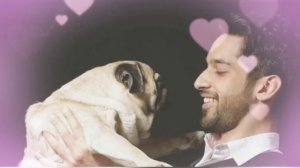 karan Vohra aka Shaurya khanna New status ❤️❤️😍👍|| Zkm ||