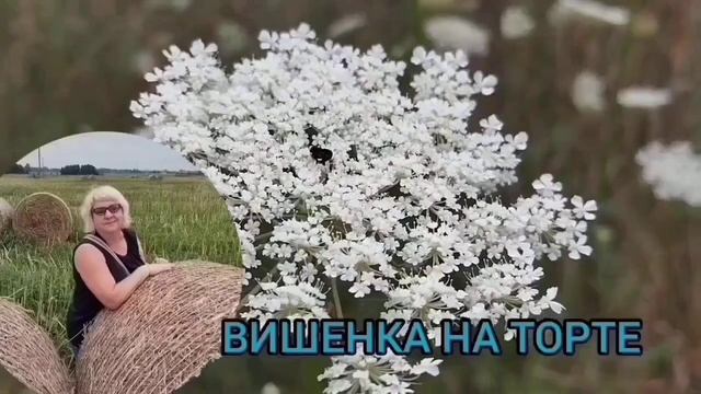 ОЧЕРЕДНОЙ БРЕД ГАННЫ😂 ANYANASTYA LIFE. ОБЗОР.