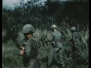 California Dreaming - Vietnam War Footage