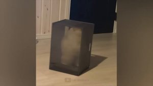 #84 Самые смешные животные. Приколы с котами и собаками