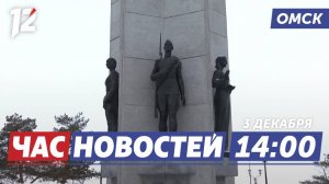 День Неизвестного Солдата / Участок для многодетных семей / Катки во дворах. Новости Омска