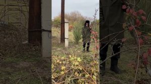 Как Профессор виноград обрезал / ГАРДЕЙ И ИВАНЫЧ #дед #юмор #волгоград #рек #rec #shortsvideo #art