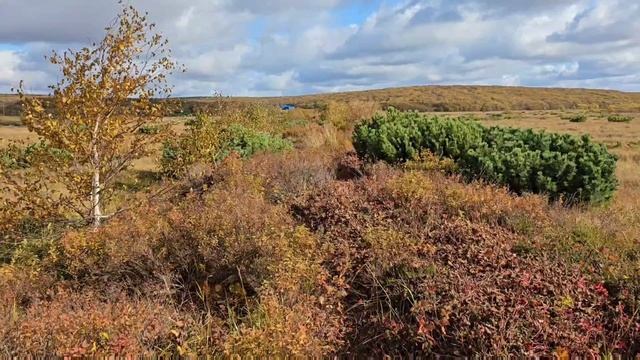 деревня 20лет спустя