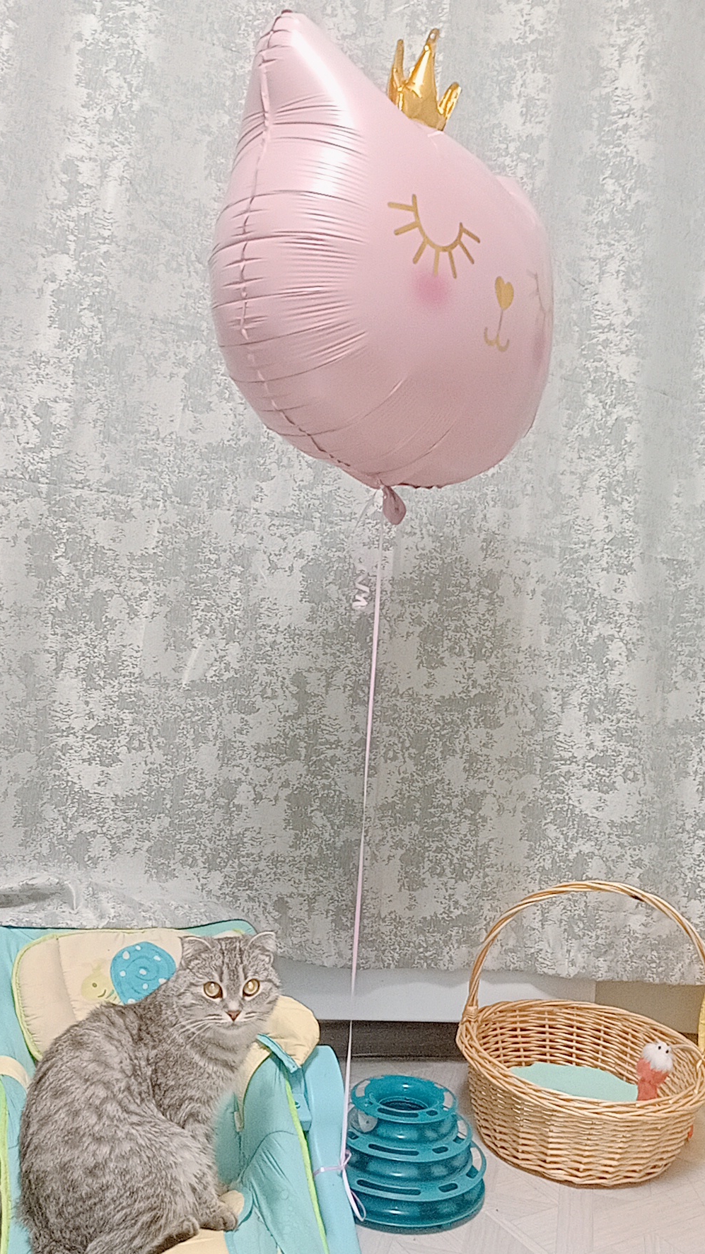 🥳😻У Бусинки день рождения 🥳😻
❤️🔥Ей исполнилось 2 годика❤️15.11.2024 г😻