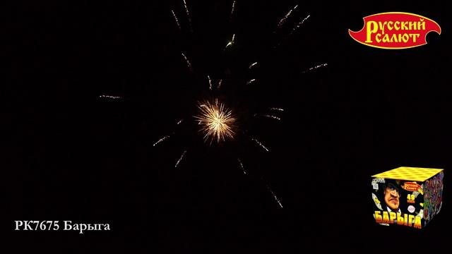 RUSSIANSALUTE.RU