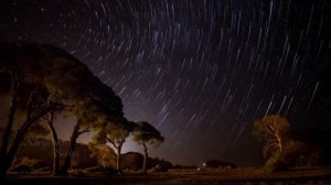 "Звёздный ловчий" ~ Владимир Кожанчиков