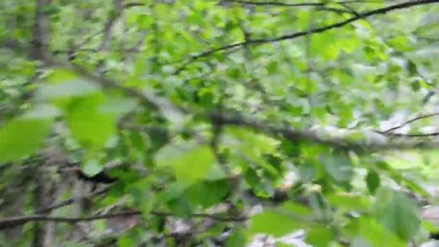 Речка Кожа в большую воду,июнь 2014г,Порог Сиваньга смотреть онлайн