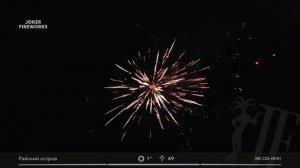 Салютная установка «Райский остров» MC C25-49/01 от Joker Fireworks | Джокер Фейерверки