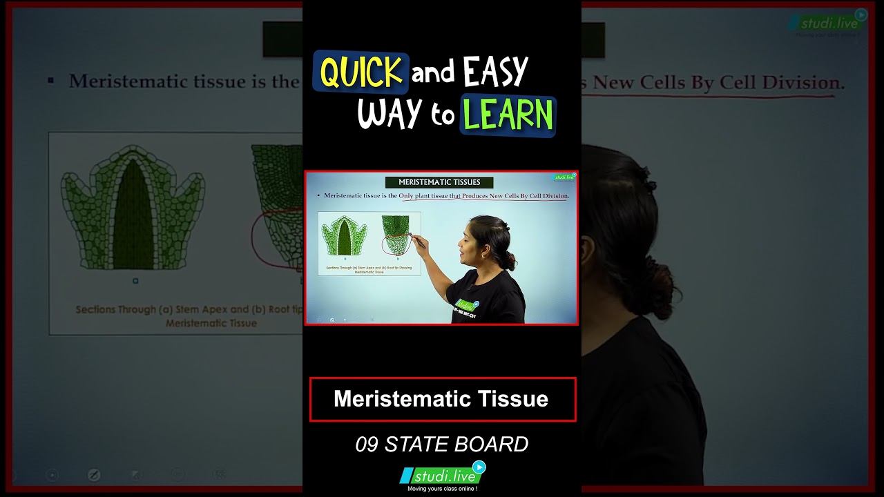 Meristematic Tissue || Introduction to Biotechnology || #biology #stateboard